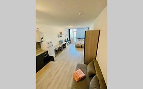 Large Studio In Studentski Grad With Huge Terrace